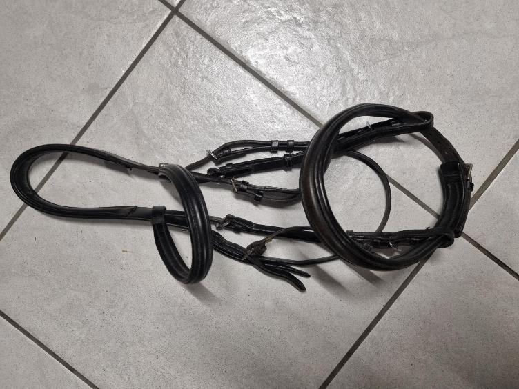 Secondhand-Artikel | Zaum engl. Nasenband Gr. Full