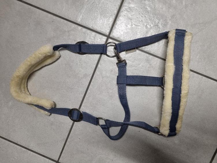 Secondhand-Artikel | Halfter Gr. Full