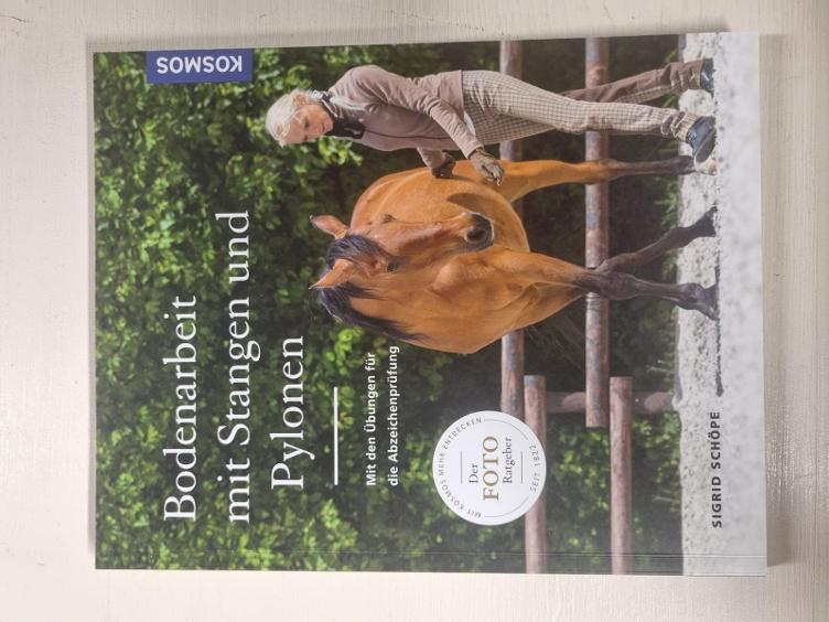 Secondhand-Artikel | Bodenarbeit mit Stangen und Pylonen