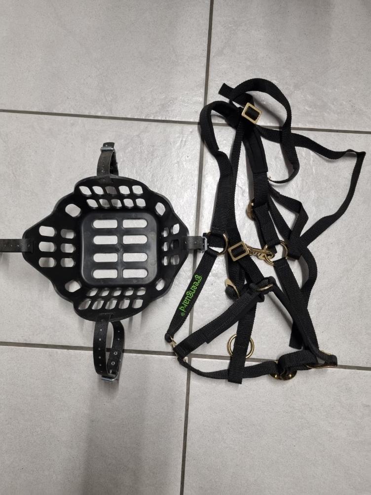 Secondhand-Artikel | Greenguard Maulkorb mit Halfter Gr. WB