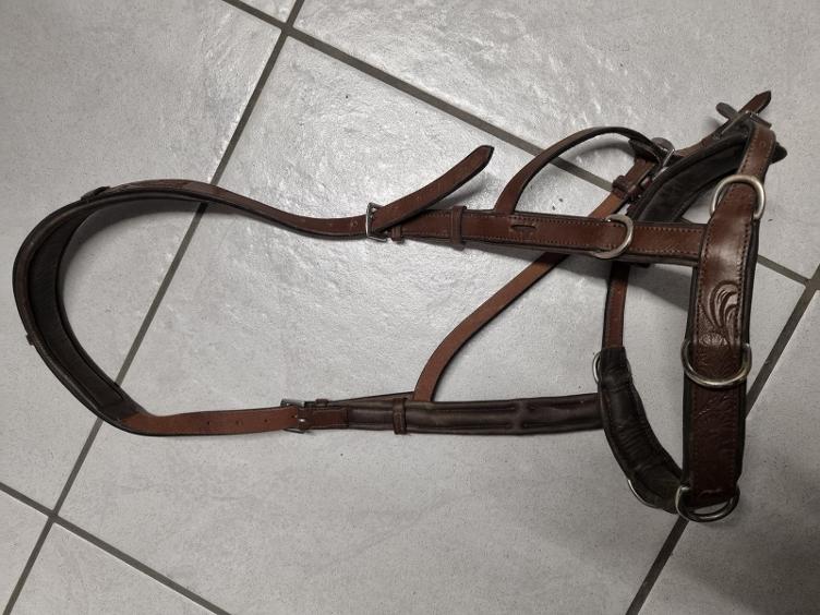 Secondhand-Artikel | Kappzaum Gr. WB