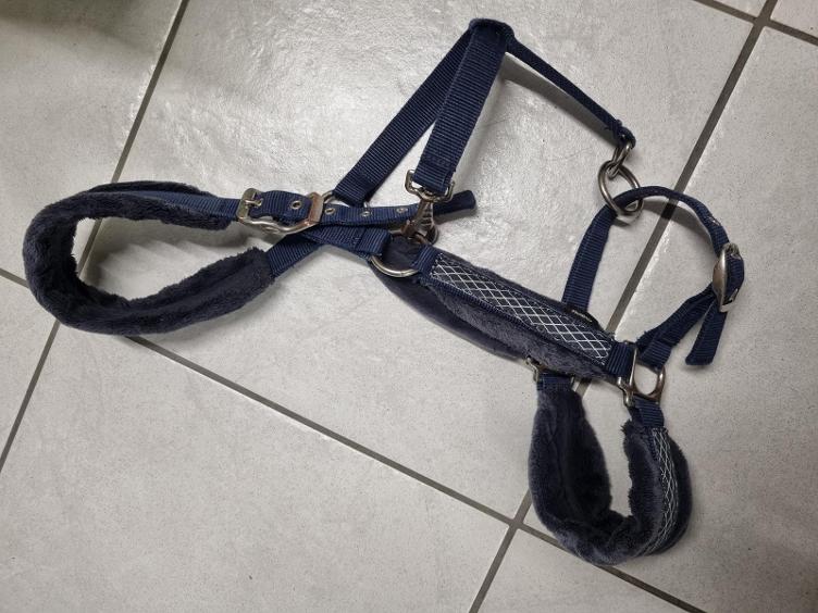 Secondhand-Artikel | Halfter Gr. Full/WB