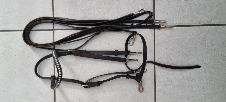 Secondhand-Artikel | Kandarenzaum inkl. Zügel Gr. Cob