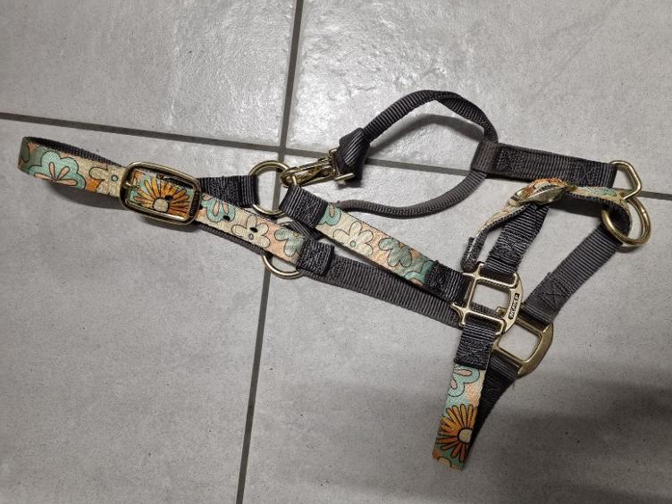 Secondhand-Artikel | Halfter Gr. Full