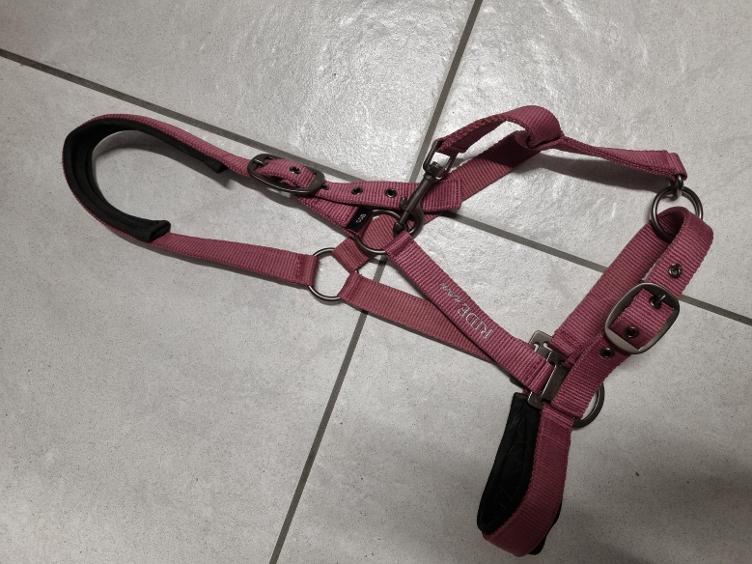 Secondhand-Artikel | Halfter Gr. Cob