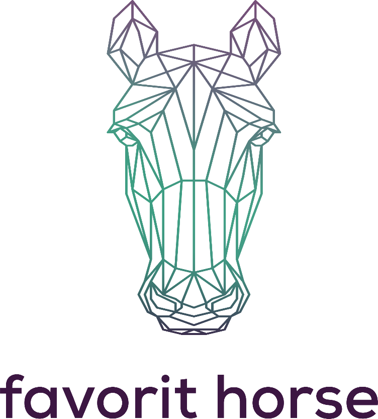 Deckenwäsche + Reparatur