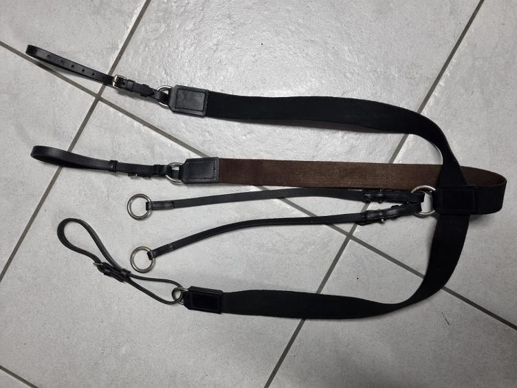 Secondhand-Artikel | Vorgeschirr/Martingal Elast Gr. Full