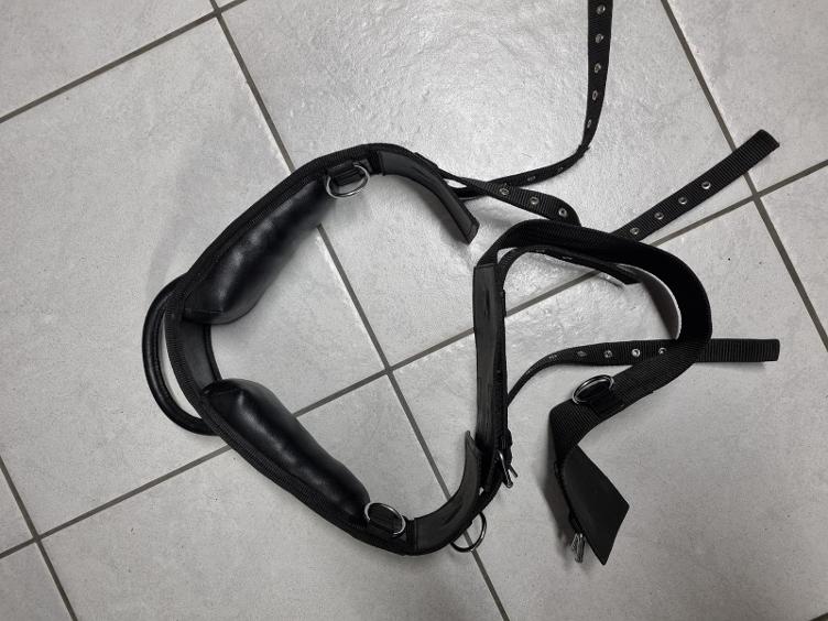 Secondhand-Artikel | Longiergurt mit Griff Gr. Cob