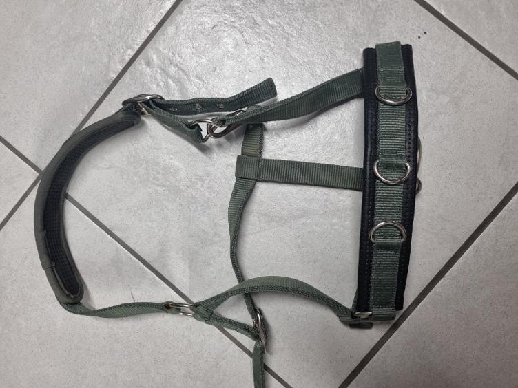 Secondhand-Artikel | Longierhalfter Gr. Full