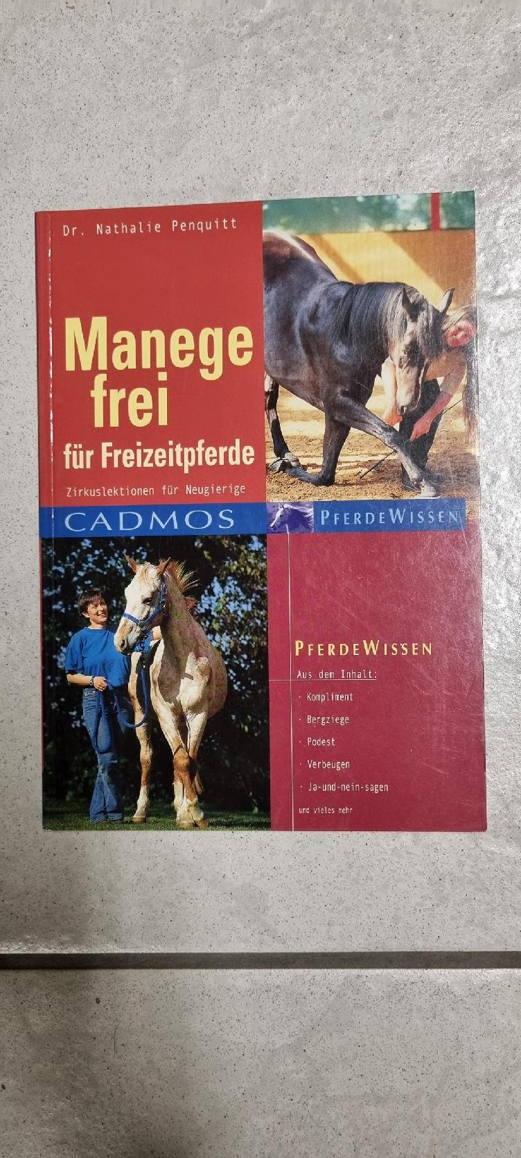 Secondhand-Artikel | Manege frei für Freizeitpferde