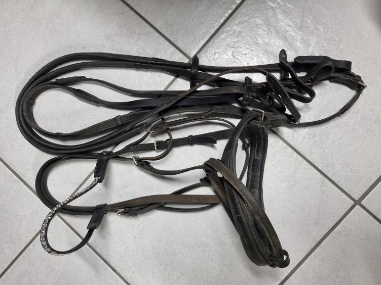Secondhand-Artikel | Zaum mit Magictack Set Gr. WB