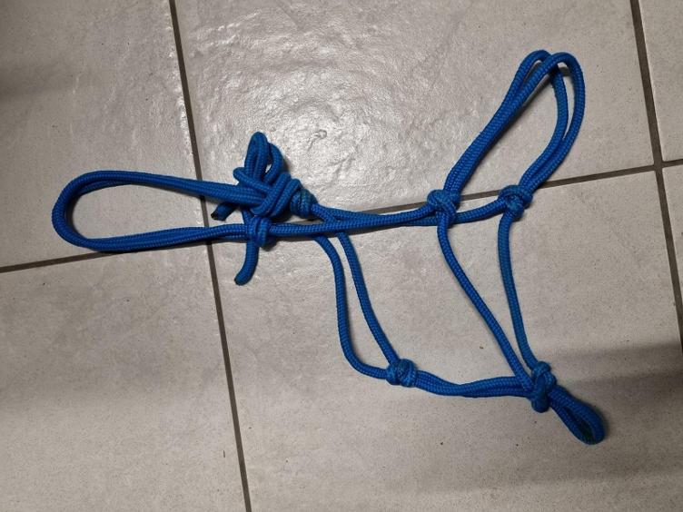 Secondhand-Artikel | Knotenhalfter Gr. Cob