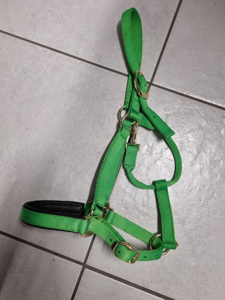 Secondhand-Artikel | Halfter Gr. Full