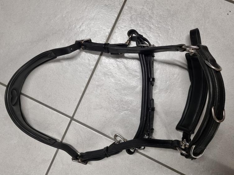 Secondhand-Artikel | Kappzaum Horse + Human Heart Gr. Full/WB