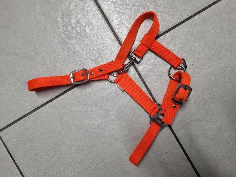 Secondhand-Artikel | Halfter Gr. Pony