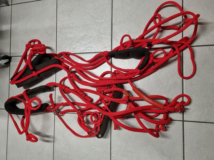 Secondhand-Artikel | Siltec Geschirr Zweispänner Gr. Shetty