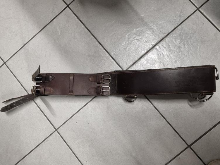 Secondhand-Artikel | Longiergurt Leder Gr. Full