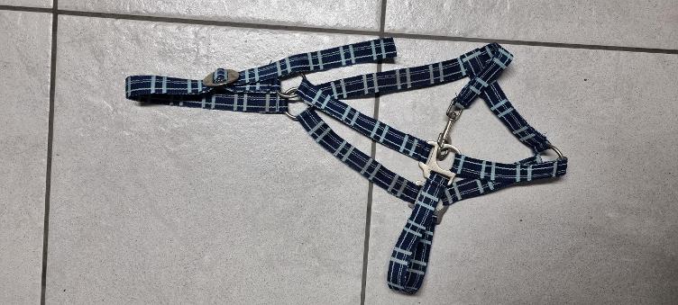 Secondhand-Artikel | Halfter Gr. WB