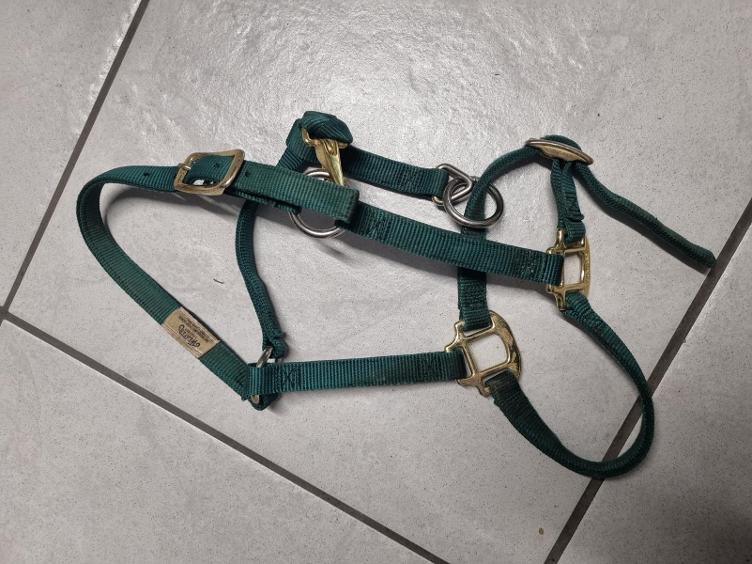 Secondhand-Artikel | Fohlen-/Ponyhalfter