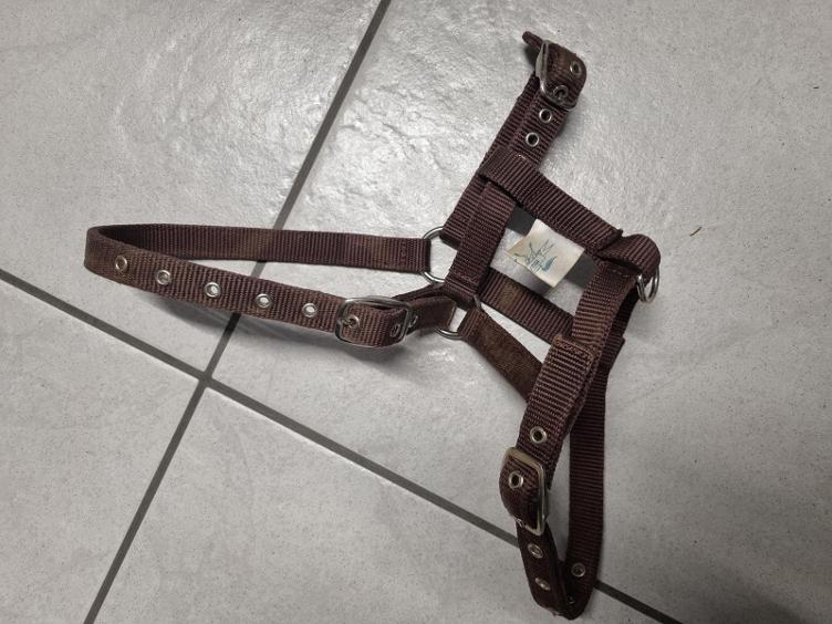 Secondhand-Artikel | Fohlen-/Ponyhalfter
