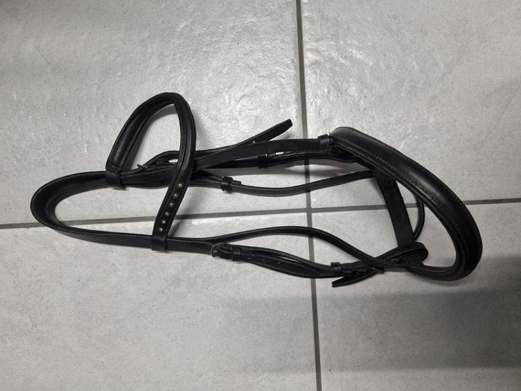 Secondhand-Artikel | Zaum engl. Nasenband Gr. Cob