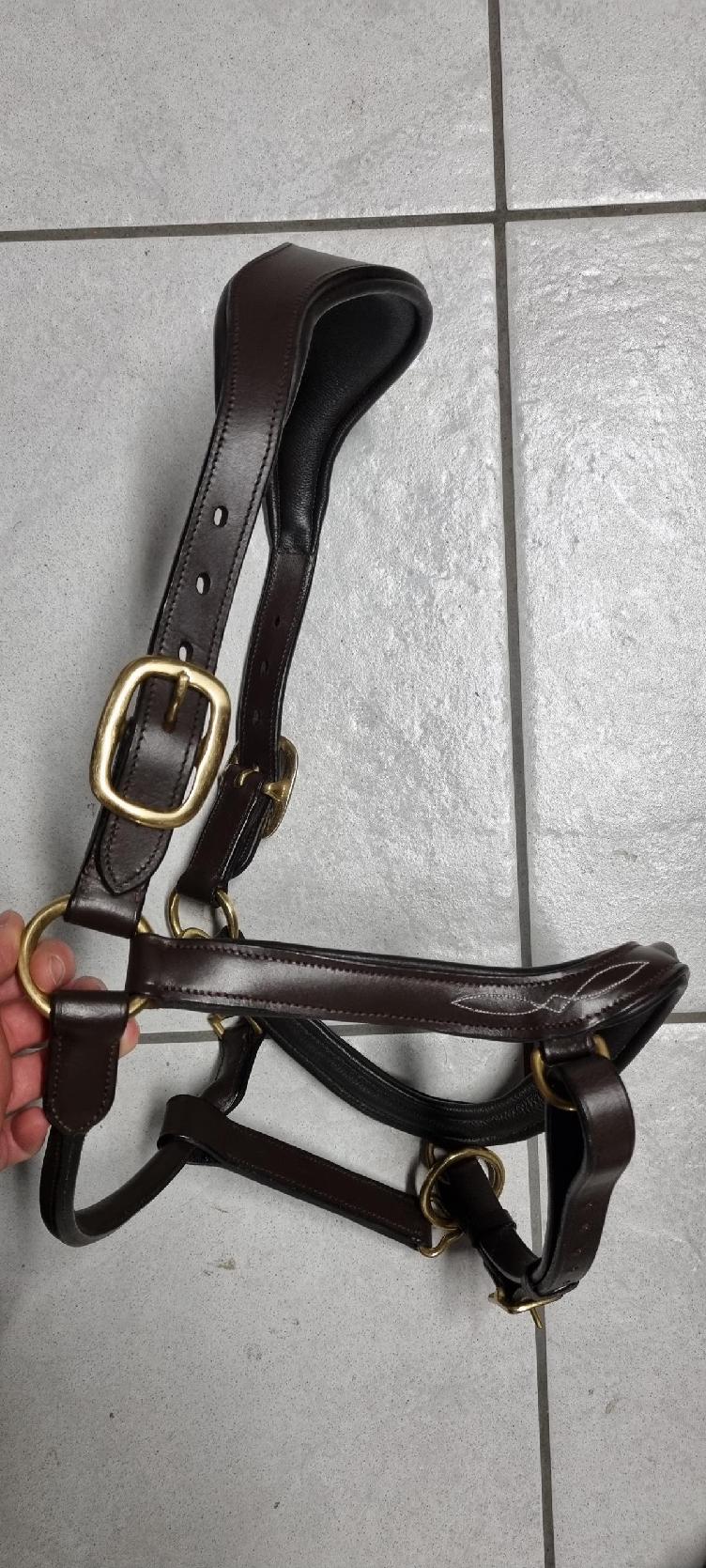 Secondhand-Artikel | Anatomisches Lederhalfter (Neu)