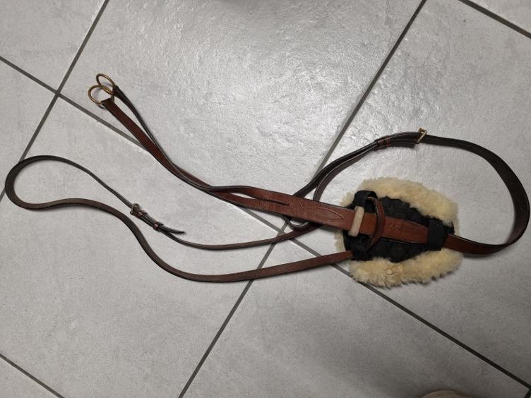 Secondhand-Artikel | Martingal Gr. Full