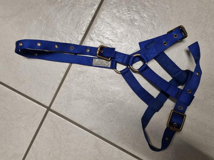 Secondhand-Artikel | Fohlenhalfter