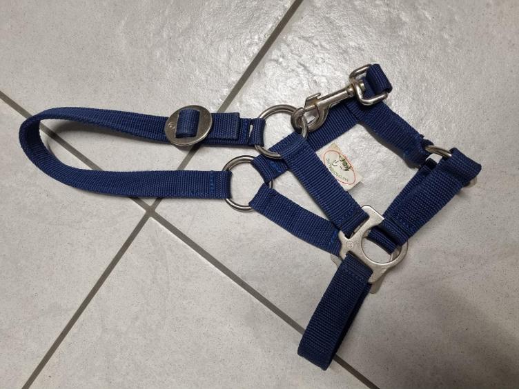 Secondhand-Artikel | Halfter Gr. Shetty