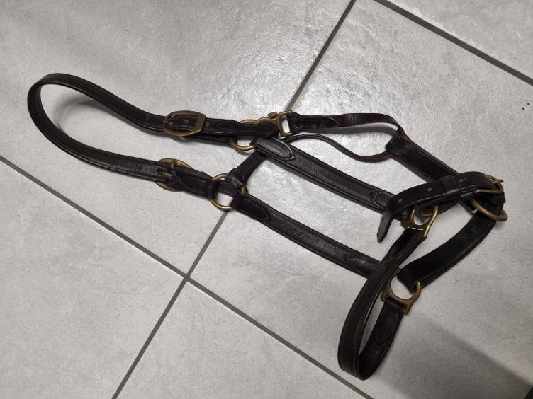 Secondhand-Artikel | Lederhalfter Gr. Full/WB