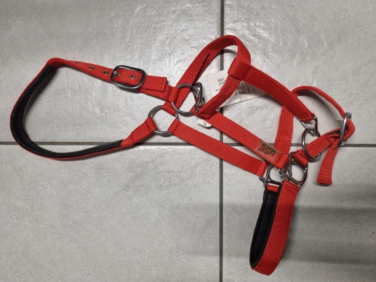 Secondhand-Artikel | Halfter Gr. Full (Neu)