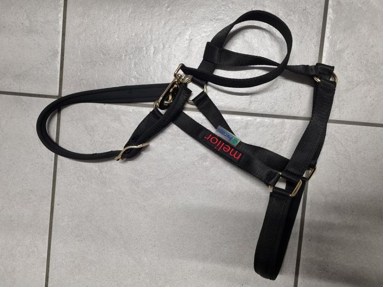 Secondhand-Artikel | Halfter Gr. Full