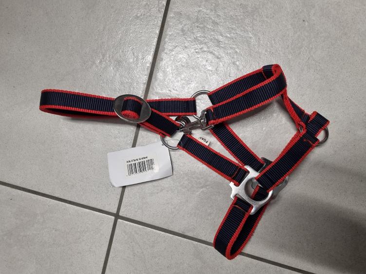 Secondhand-Artikel | Fohlenhalfter (Neu)