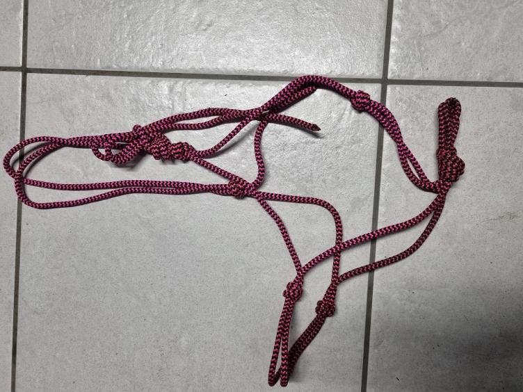 Secondhand-Artikel | Knotenhalfter Gr. Full