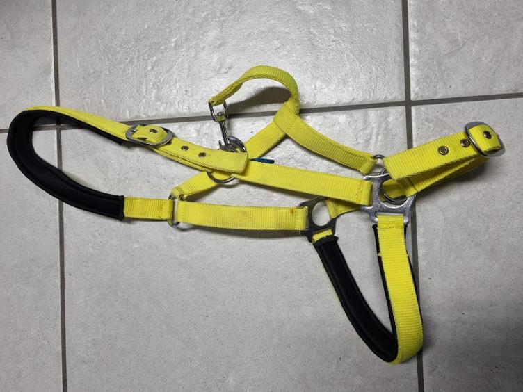 Secondhand-Artikel | Halfter Gr. Cob
