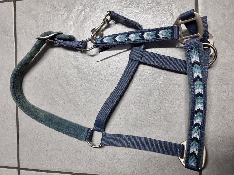 Secondhand-Artikel | Halfter Gr. Cob (Neu)