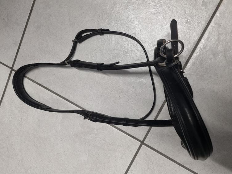Secondhand-Artikel | Gebissloser Zaum Gr. Full
