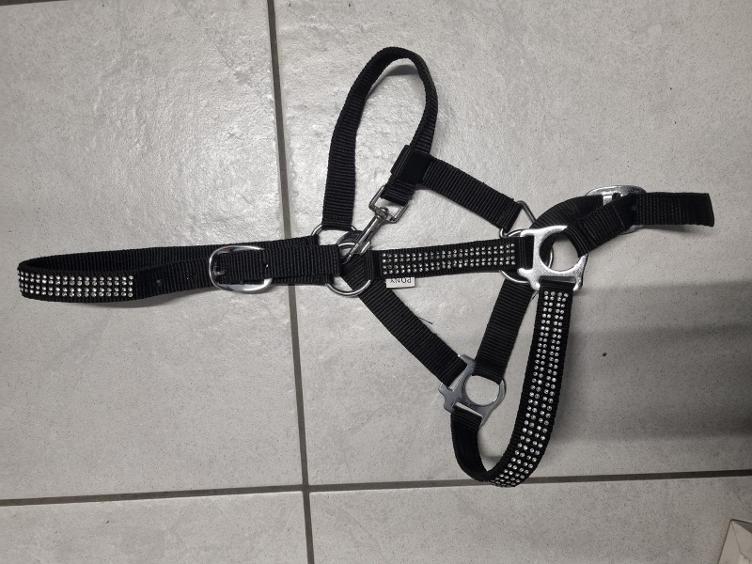 Secondhand-Artikel | Halfter Gr. Pony