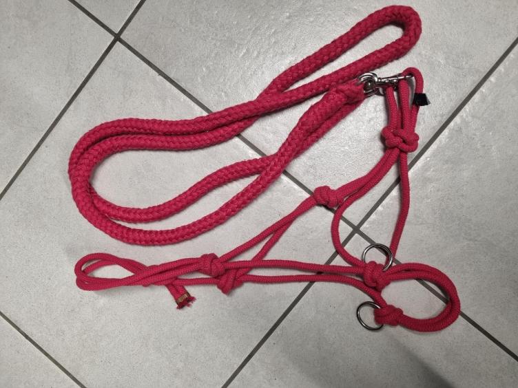 Secondhand-Artikel | Knotenhalfter-Set mit Zügel Gr. Pony