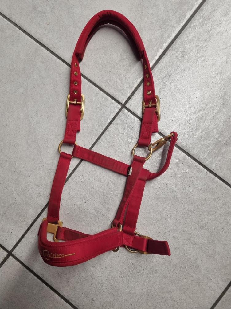 Secondhand-Artikel | Halfter Gr. WB