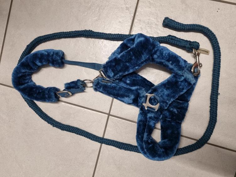 Secondhand-Artikel | Halfter mit Strick Gr. Full