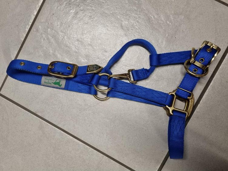 Secondhand-Artikel | Halfter Gr. Pony/Jährling