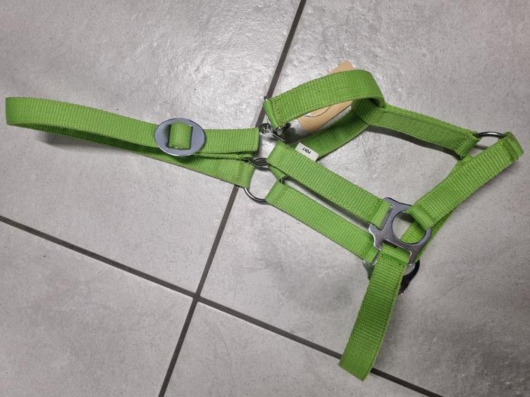 Secondhand-Artikel | Halfter Gr. Pony