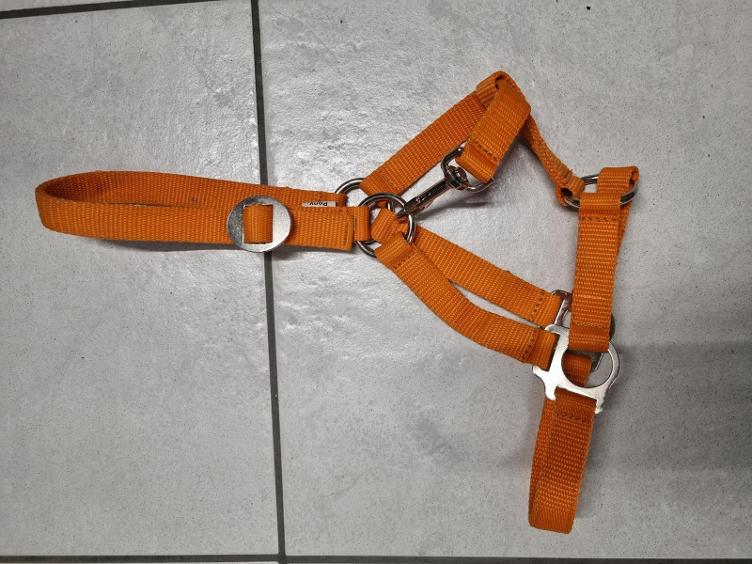 Secondhand-Artikel | Halfter Gr. Pony