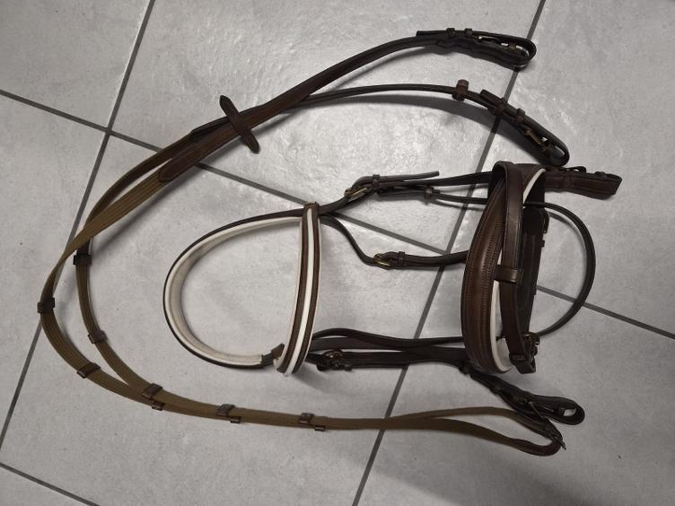 Secondhand-Artikel | Zaum engl. komb. Gr. WB