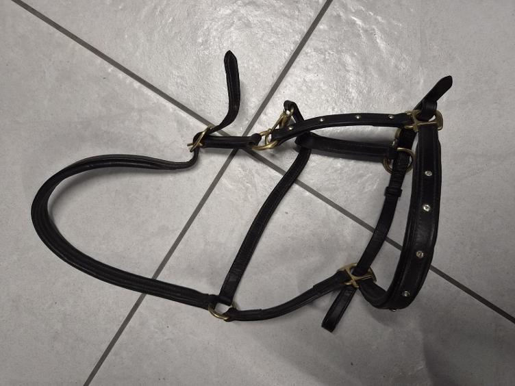 Secondhand-Artikel | Lederhalfter Gr. Pony/Fohlen