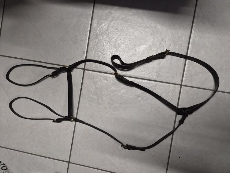 Secondhand-Artikel | Vorgeschirr Gr. Full/WB