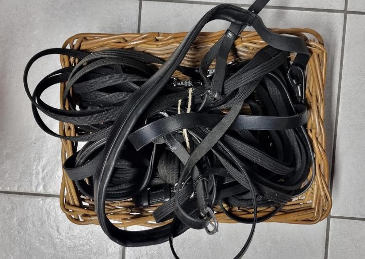 Secondhand-Artikel | Skijöring-Set Gr. Full