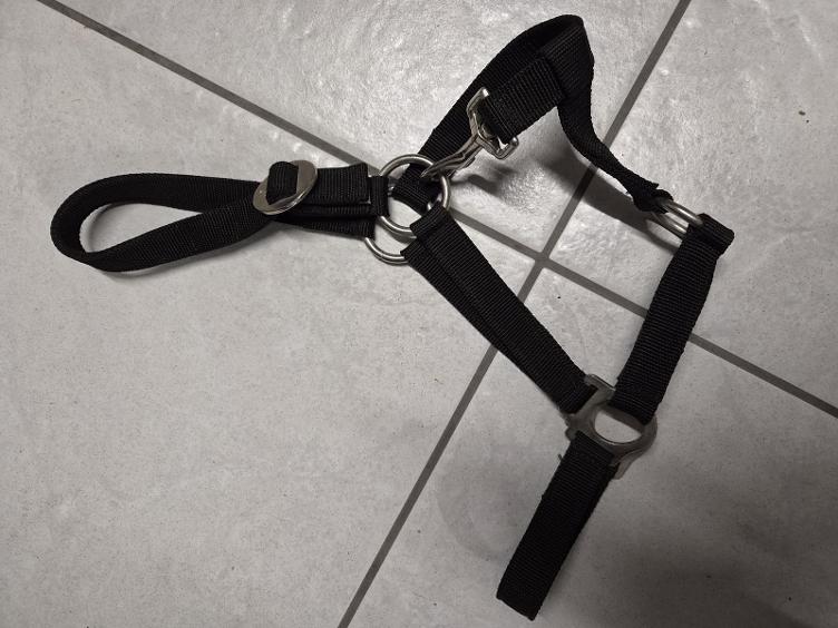 Secondhand-Artikel | Halfter Gr. Pony