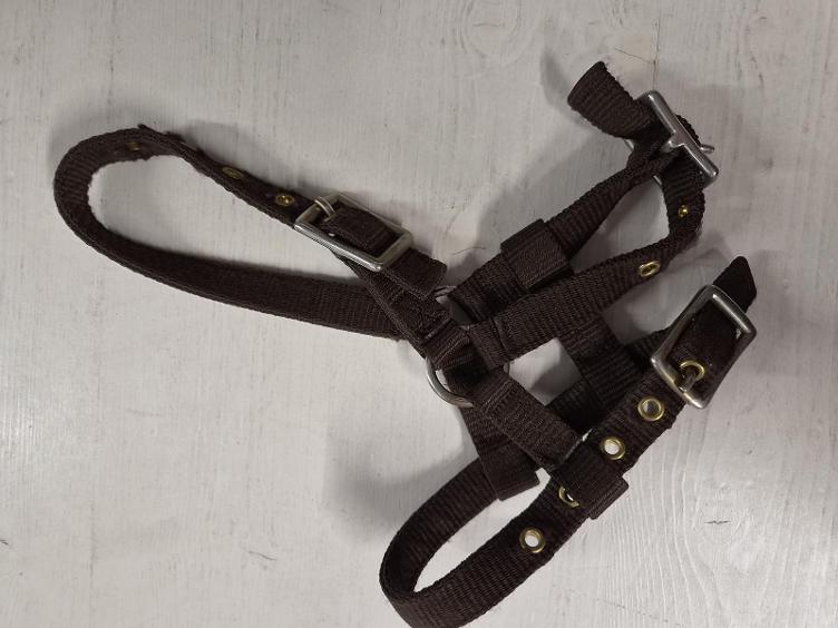 Secondhand-Artikel | Halfter Gr. Mini/Fohlen